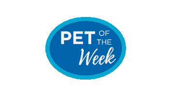 Pets Pet Adoption Sticker by Helen Woodward Animal Center