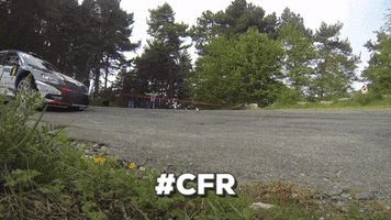 Cfr GIF by Fédération Française du Sport Automobile
