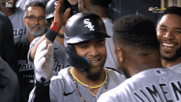 Happy White Sox GIF by Chicago White Sox