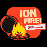 Friends Fire GIF by Embutidos Franz