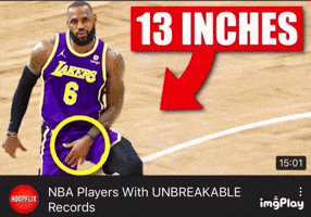 Lebron GIF