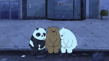 We Bare Bears Panda GIF