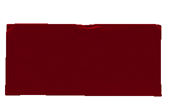 Bojana Nikolin Sticker by Art Of Microblading USA