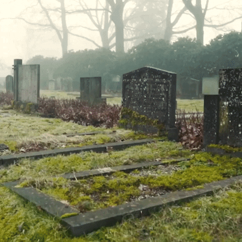Death Cemetery GIF by PBS Digital Studios