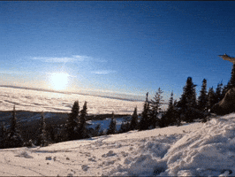 Gilson GIF