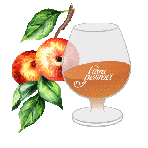 BALQAN.com Sticker