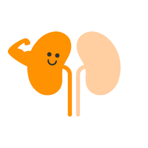 Awareness Sticker by Kidney Cancer Association