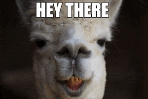 Teeth Alpaca GIF by Still Not A Hippie