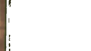 Cqldagro Sticker by CQLD Advogados