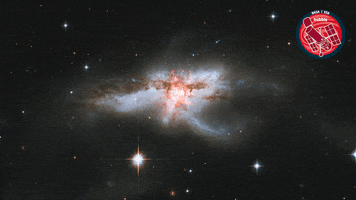 Bird Energy GIF by ESA/Hubble Space Telescope