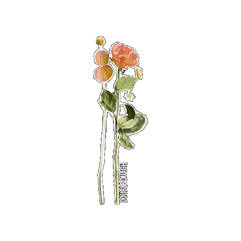 I Love You Flowers Sticker by Double Dutch