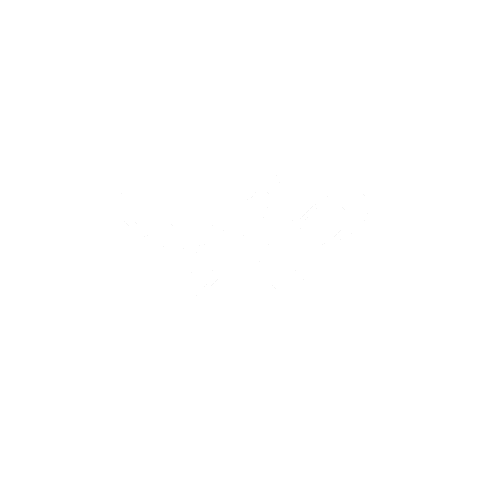 세븐틴 Warning Sticker