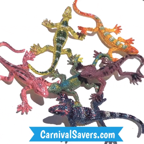 CarnivalSavers carnival savers carnivalsaverscom small toy small carnival prize GIF