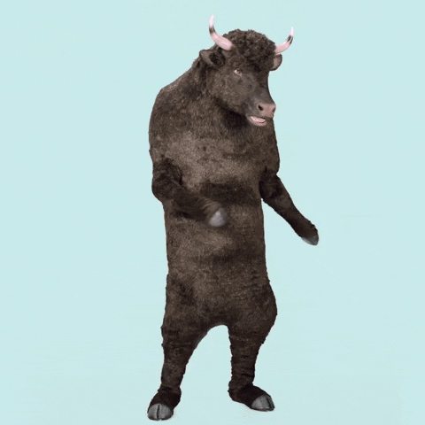 Happy Dance GIF by credible