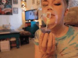 meggywhynot  GIF