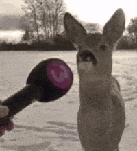 Jeansnand GIF