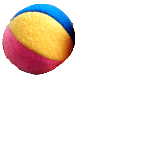 Rainbow Pelota Sticker by Dcaratex