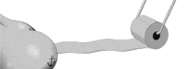 Animation Sticker