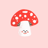 mushroom-fungi-fungus-Fvnu2EKNyCtKjUbjek