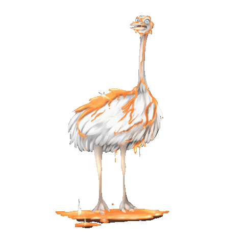 Ostrich Riyadh Sticker by AlMashtal Creative Space