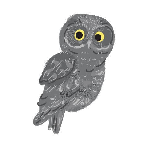 Forest Owl Sticker by Teaspoon studio