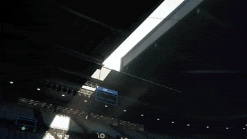 Tennis Arena GIF by 2K Games