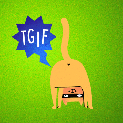 Thank God Its Friday Cat GIF by Kochstrasse™