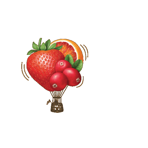 Red Wine Sticker by Oliver Winery