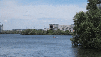 Asiaone GIF