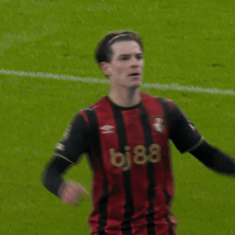 Happy Premier League GIF by AFC Bournemouth