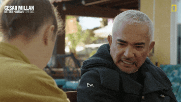 Cesar Millan GIF by National Geographic Channel