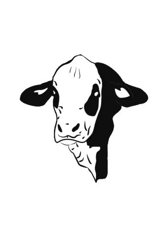 Braford Sticker by ABA