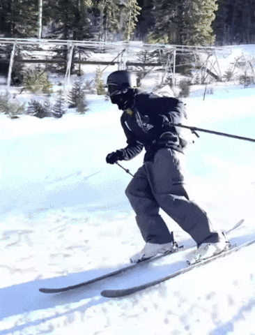 Bowden GIF