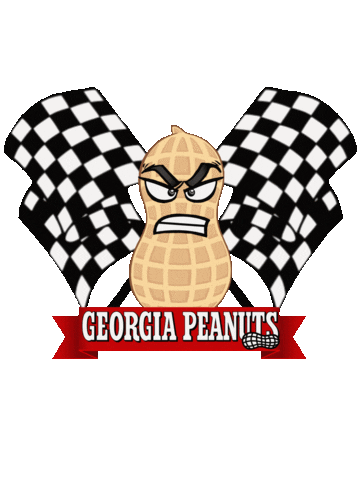 Letsgoracing Sticker by Georgia Peanuts