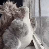 Home Alone Dancing GIF