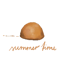 Summer Time Sun Sticker