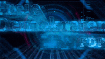 FDPGrote GIF
