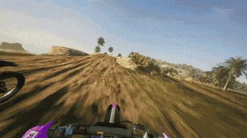Palm Trees Jump GIF by Xbox