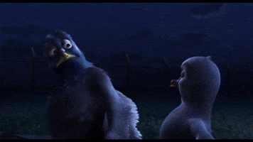 Disney Bird GIF