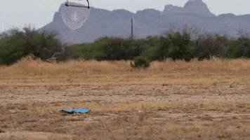 Autonomous GIF