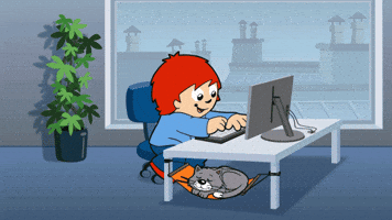Cat Office GIF by ZDF