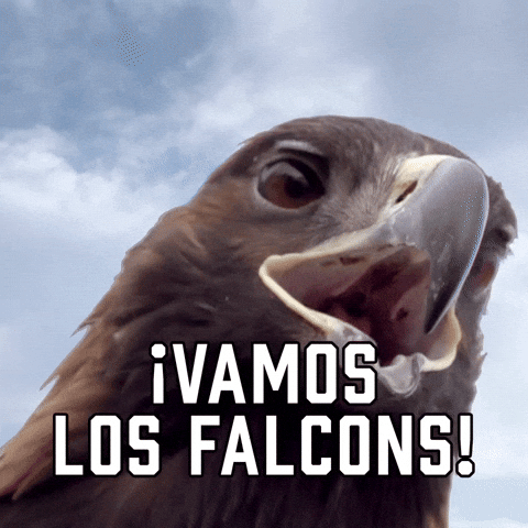 Atlanta Falcons Sport GIF by Sealed With A GIF