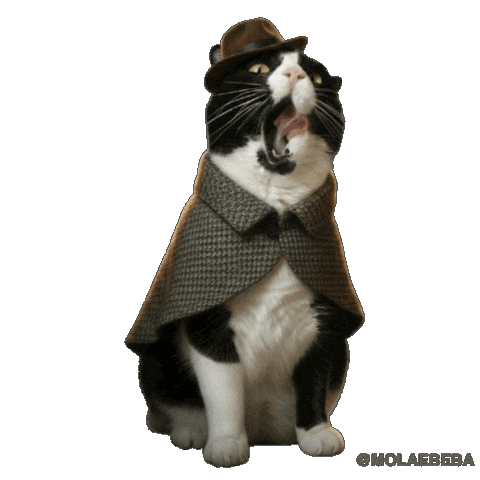 Sherlock Holmes Cat Sticker