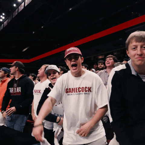South Carolina Football GIF by Gamecock Athletics