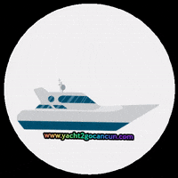 Boat Cancun GIF by yacht2gocancun