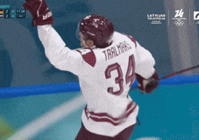 Germany Nhl GIF