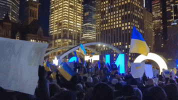 Heart Protest GIF by GIPHY News