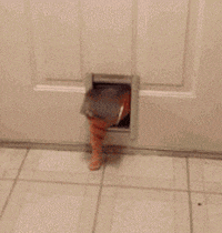 Video gif. A very fat tabby cat slowly walks in the cat door but it gets stuck halfway. It begins to flounder, trying to pull itself through, and finally succeeds.