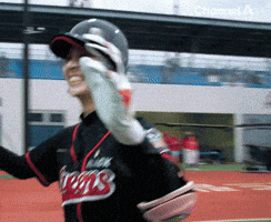 Baseball Celebrate GIF