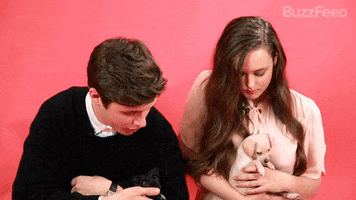 Check It Out Nick Robinson GIF by BuzzFeed